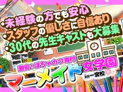 激安！ぽちゃカワ専門マーメイドin岐阜 - 岐阜市内・岐南/デリヘル｜駅ちか！人気ランキング