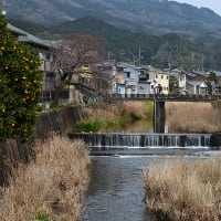 徒然に・:びわ湖音楽祭 プレコンサート 〜 雄松が里の 乙女子は