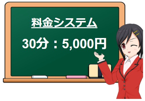 新書 【 情欲未亡人