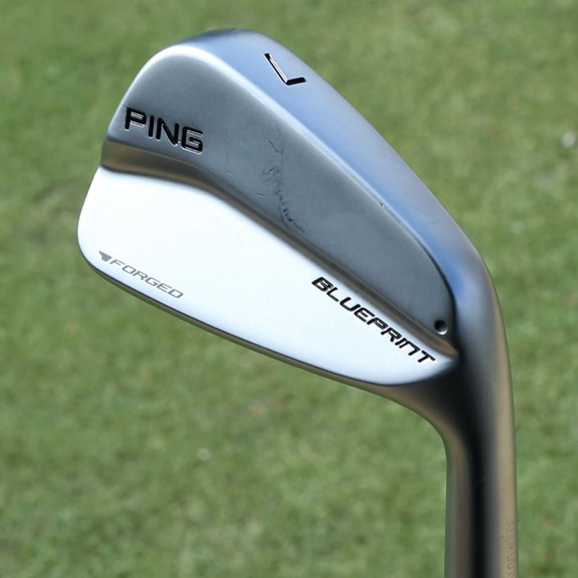 人には生まれる前にブループリントで定めた異性のパートナーがいるらしい - シュレディンガーの青猫