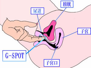 巨根×ポルチオ開発 Gスポット膣中オーガズム調教 | 美少女だけのAVメーカー【kawaii*】公式サイト