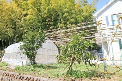 口コミ一覧 : 大松農場 - 旭 その他食べログ