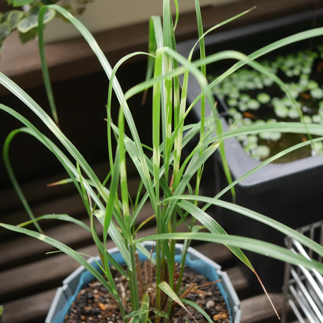 バールの種類と特長技術情報MISUMI-VONA ミスミ