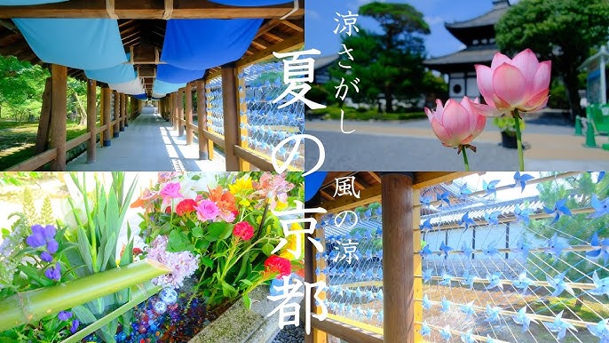 【 夏の京都・涼さがし散策】東福寺の風鈴・風車/勝林寺/光明院/カフェ/青もみじ/そうだ京都行こう/三門/蓮/重森三玲/Tofukuji-Temple  (Kyoto,Japan)