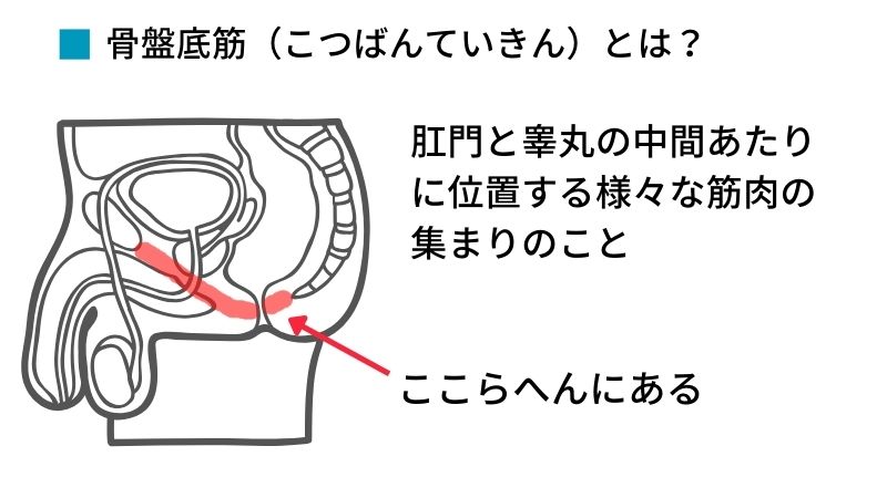 一ノ瀬 爽香