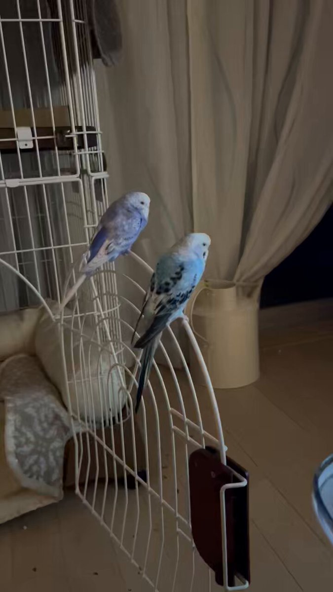 四柱推命でメール鑑定が可能な当たる占い師5選！無料特典ありのメール占いも調査