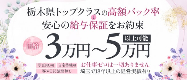 美人百華｜西那須野発 人妻デリヘル - デリヘルタウン