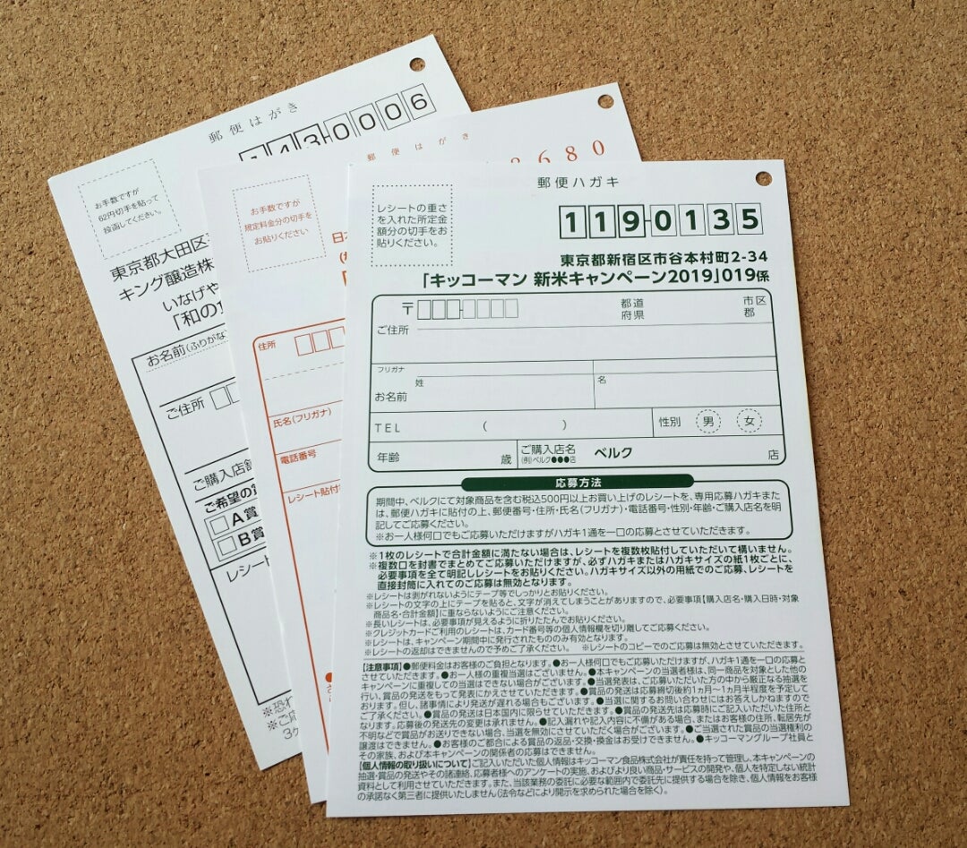 乃木坂46 Same numbers 新星堂 購入者限定特典 応募ハガキ 49枚