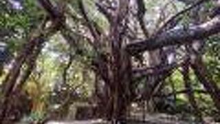 浜比嘉島「アマミチューの墓・シルミチュー霊場」