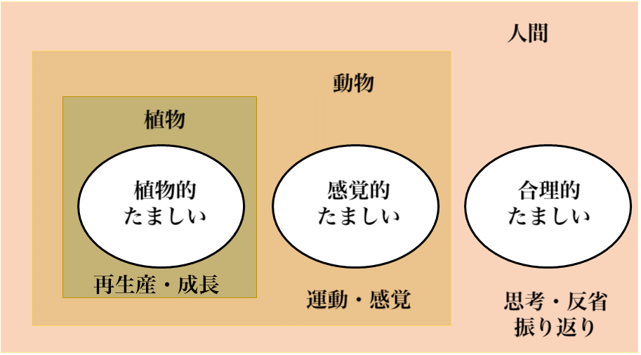 プライミング効果の有効活用】意味を持たせて興味をかき立てるには？【相手