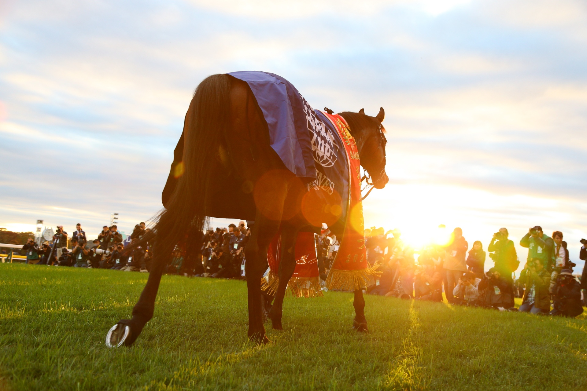 4,384点のウィリアム・ビュイックの写真と高解像度写真 - Getty Images