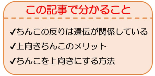 症例13 49歳男性 ペニス上反り形成術・屈曲ペニス修正術・包茎手術