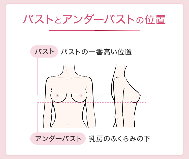 ブラのホック、どこで留める？ホックについておさらい＆適切な位置をお教えします - 【公式】グラマープリンセス