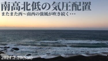 ホイホイさんプラモの本 ホイホイさん/コンバットさん/ペストXさん/オボロ/コトブキヤ 電撃王編集部編/アスキー の入札履歴