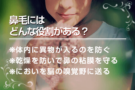 鼻毛を抜くとこんなデメリットが！鼻毛の正しい処理方法とは