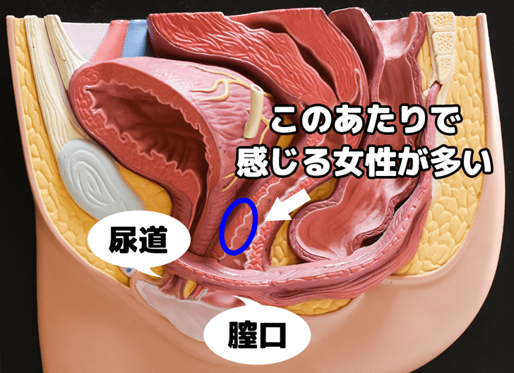 中イキのやり方・コツとは？膣イキにおすすめの体位やコツを丁寧解説【快感スタイル】