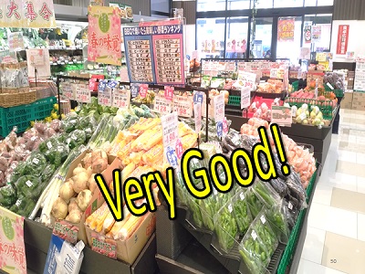 青果売り場の野菜の写真素材12047258- PIXTA