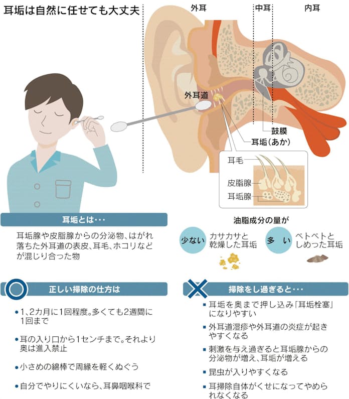 イヤーエステ・耳エステは１５年目の癒し人気メニュー | 理容室藤田 銀座