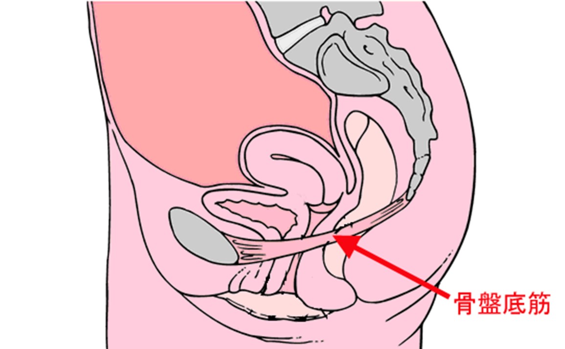 ふたりエッチ STEP3「二人の気持ち いざハネムーン!」