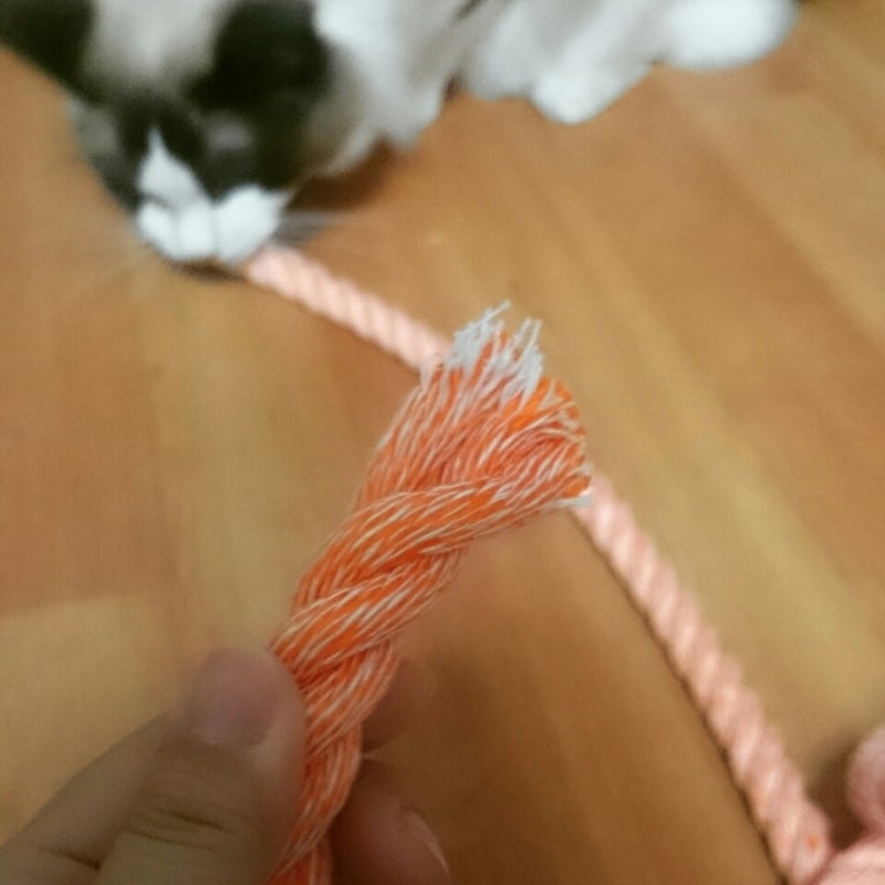 沖縄について – 沖縄県公式移住応援サイト おきなわ島ぐらし