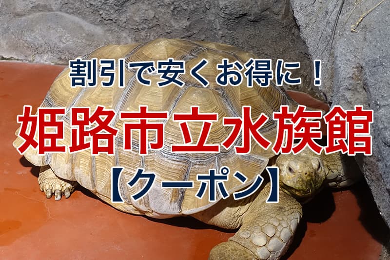 太陽公園の一番お得な割引方法全国レジャー施設割引ナビ