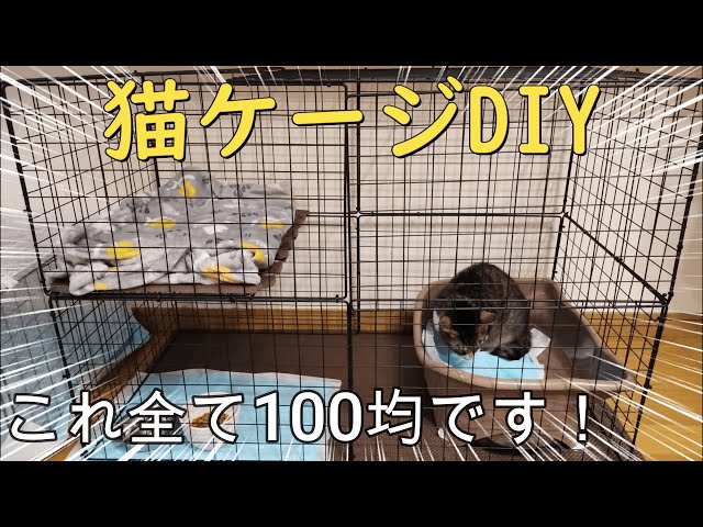 ダイソー DAISO の商品を使って犬のケージを拡張する柵を自作しました！収納もコンパクトに