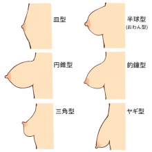 楽天ブックス: 美乳人妻&熟女20人 釣鐘型オッパイvsお椀型オッパイ カップサイズよりもカタチにこだわるコレクション4時間 -