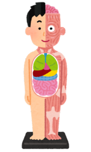 格別」の意味と使い方や例文！「別格」「特別」との違いは？ 類義語・対義語– 二字熟語の百科事典