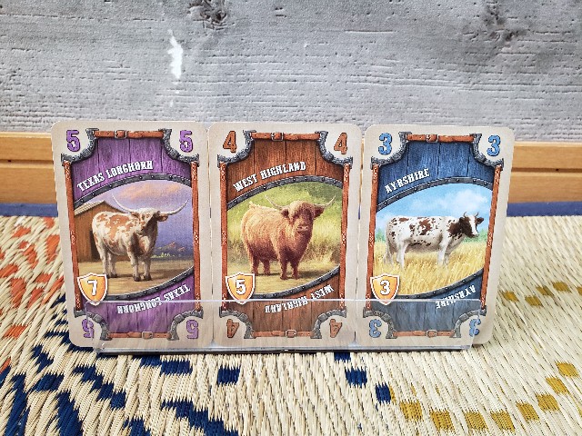 カードホルダー クリア、２４ポケット- 100均 通販 ダイソーネットストア 公式クリア プラスチック カードケース