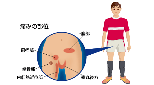 睾丸マッサージとは？効果や流れなど徹底解説します - 【公式】宮古島 タイ古式マッサージ「furaha」