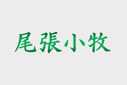 軽自動車の白ナンバーはもう発行できない？ 図柄入りナンバープレートの種類や交付料など取得最新情報【2024年版】 |  中古車を高く売るならSellCa(セルカ)