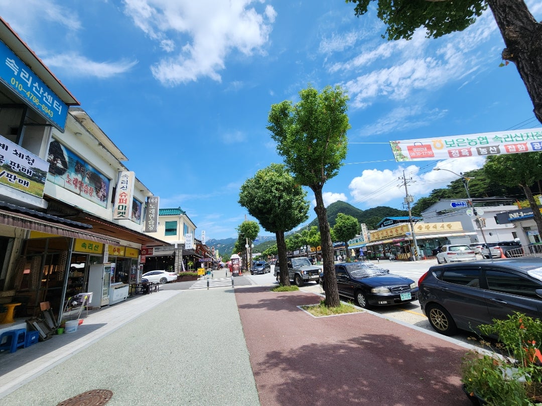 期間限定】 ひとめぼれ 玄米 10kg（茨城県共通返礼品）