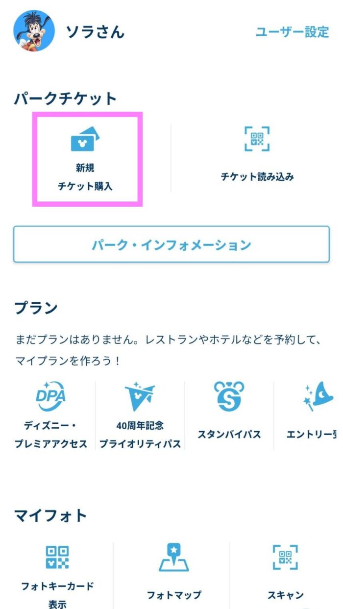 東京ディズニーリゾート 優先入場券 10枚セット 2025年最新 パリ・ディズニーランド：チケットが