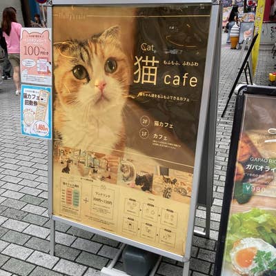 体験談】今池のピンサロ「恋の胸騒ぎ」は本番（基盤）可？口コミや料金・おすすめ嬢を公開 | Mr.Jのエンタメブログ