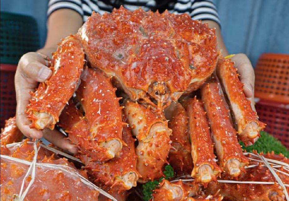 ปูอลาสก้า ความลับฉบับสุดยอด!! ของราชาแห่งท้องทะเล - Hungry Hub Blog