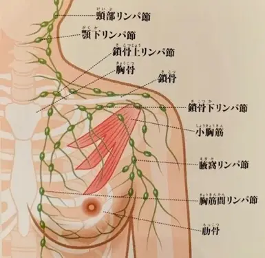 楽天Kobo電子書籍ストア: フリーおっぱい～私の胸揉んでみませんか？～（１） - 八尋ぽち -