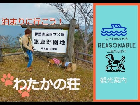 宴会で顔見せ、気に入ったらそのまま…」三重に実在する“ヤバい島”には消防団も警察も「慰安」に来ていた | 文春オンライン