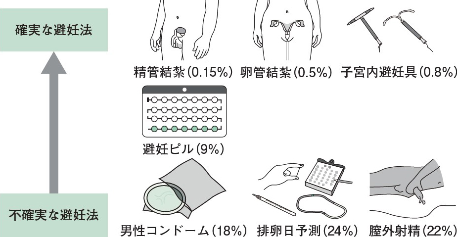 ちゃんと知りたい男性のカラダ | 避妊のススメ