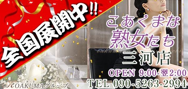 あいな：愛知三河安城岡崎ちゃんこ - デリヘル｜ぬきなび