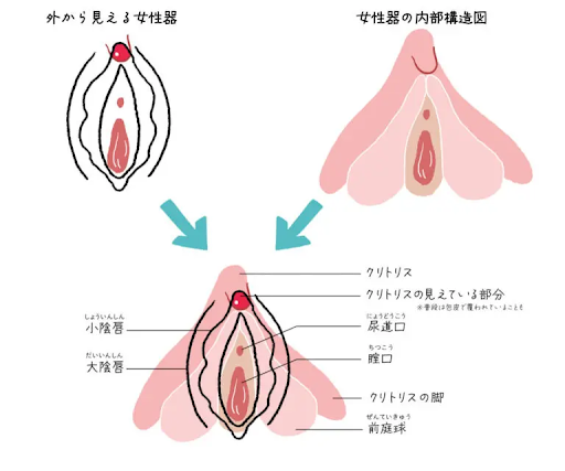 えっちな液体？｜しむラ～のブログ｜(゜ 。゜) - みんカラ