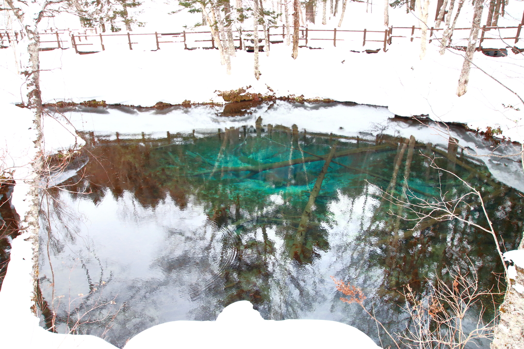 神の子池 言い伝え 行き方 駐車場 行ける時期 通行止め アクセス 場所はどこか 所要時間 を解説。熊すず必須？ヒグマが怖いスピリチュアルスポット 北海道 日本国内の観光・旅行ブログ