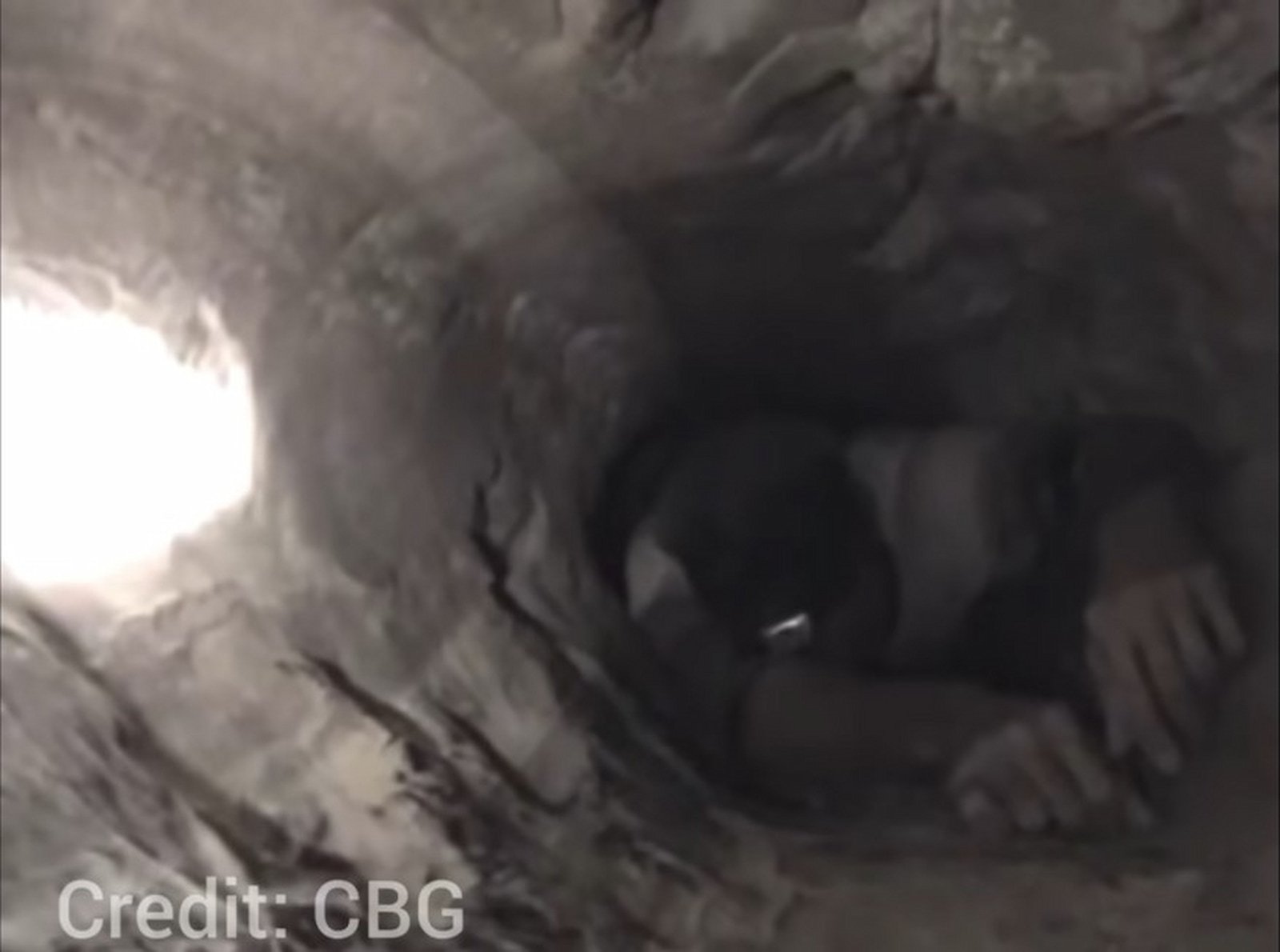 ジョン・エドワード・ジョーンズ 洞窟探検家 が悲劇的な去る前にナッティ・パティ洞窟に閉じ込められた経緯です。viralinspiration