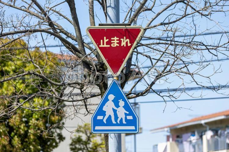 奈良県での「横断歩道一時停止率100%」を目指して！ U-Car葛城店