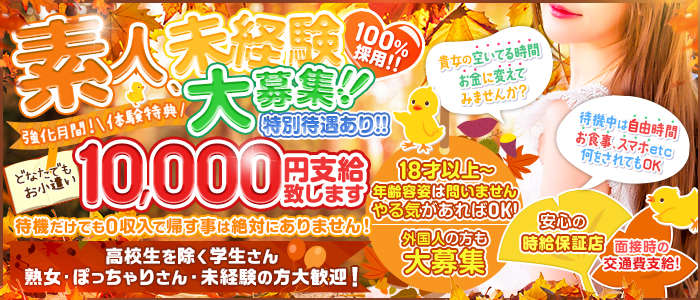 香川のピンサロで遊ぶなら！人気ランキングBEST3！【2024年最新】 | Onenight-Story[ワンナイトストーリー]