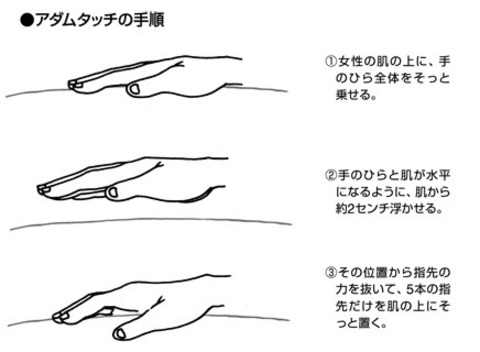 女性のための男性ホルモンと美と生命の質の関係 | ロイヤルレディスクリニック白金高輪