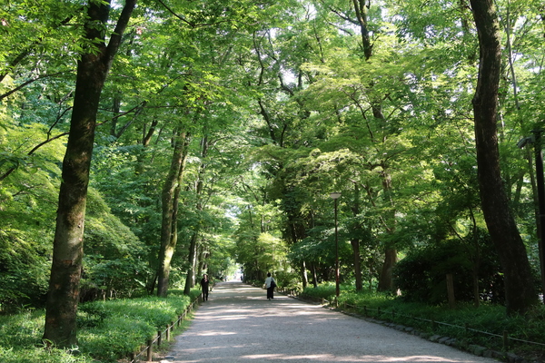 京の歳時記 】『雨に映える魅力、梅雨の京都を楽しもう』 | 【公式】名代とんかつ