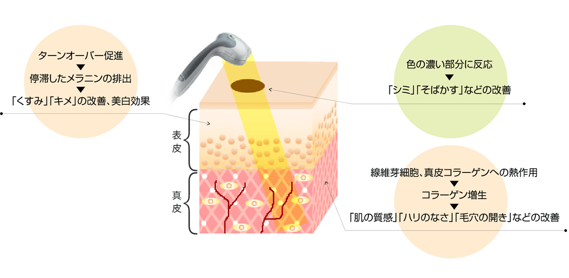 レストラン ｜ 筑波国際カントリークラブ 公式サイト