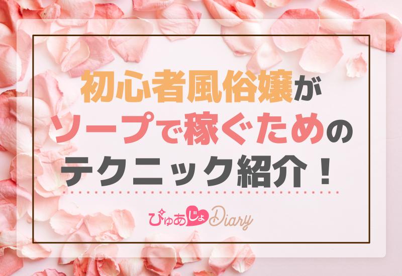 伝説の泡姫沙也加の「密着接客術」「15分でわかる！初めてのソープランド接客術」 ストア