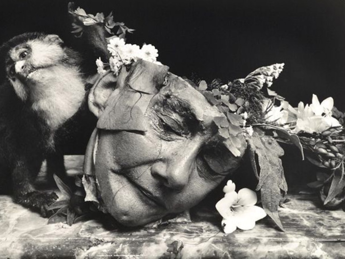 ≪閲覧注意≫ 特殊清掃現場のさまざまなパターンに見る孤独死の実態遺品整理ふくろう-東京・神奈川・埼玉・千葉