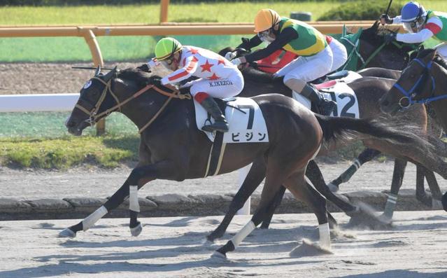 川崎競馬倶楽部ブログ 船橋・クイーンズオーディションでロカマドールが優勝し、クイーン賞（JpnIII）への優先出走権獲得